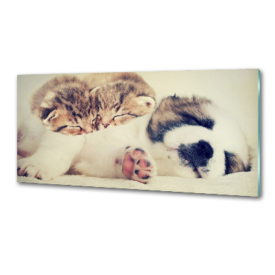 Küchen wandpaneel Zwei Katzen und ein Hund