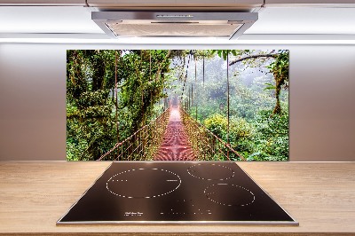 Glasrückwand für die küche Eine Brücke in den Tropen