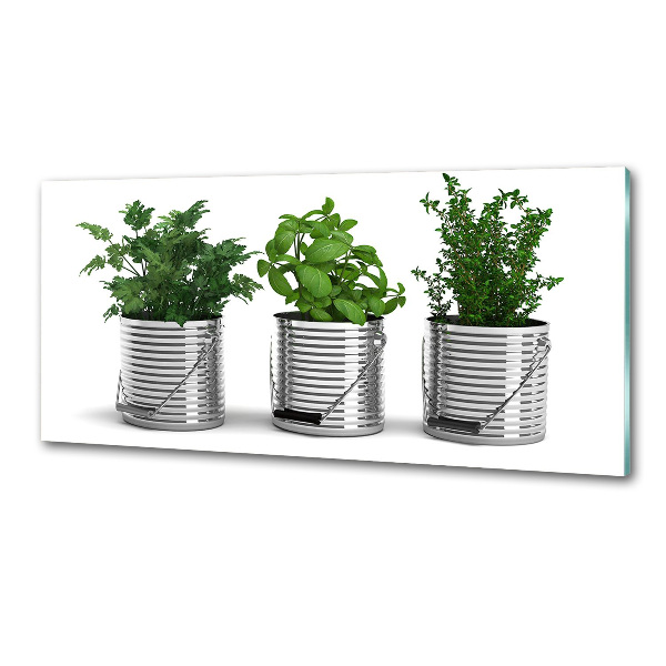 Glasrückwand für die küche Aromatische Pflanzen