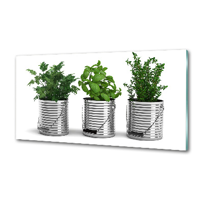 Glasrückwand für die küche Aromatische Pflanzen