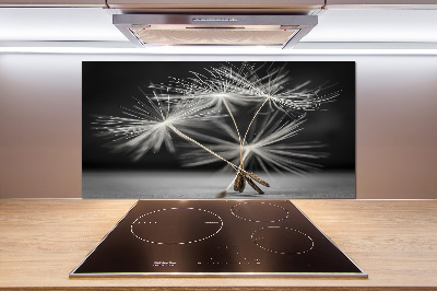 Küchen wandpaneel Löwenzahnsamen