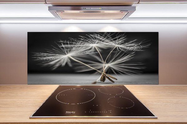 Küchen wandpaneel Löwenzahnsamen