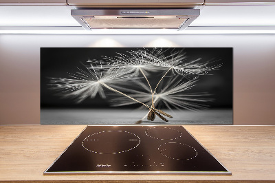 Küchen wandpaneel Löwenzahnsamen