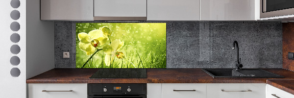 Platte für Küchenrückwand Orchidee