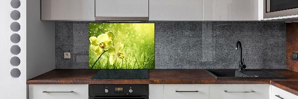 Platte für Küchenrückwand Orchidee