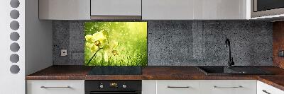 Platte für Küchenrückwand Orchidee