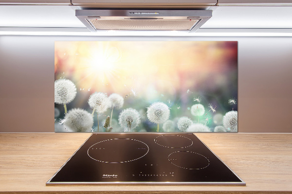 Glasrückwand für die küche Löwenzahnfeld