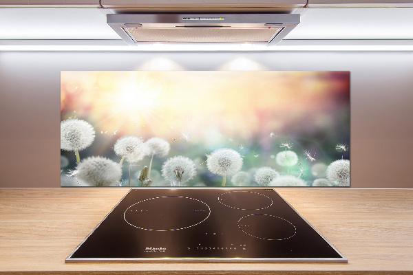 Glasrückwand für die küche Löwenzahnfeld