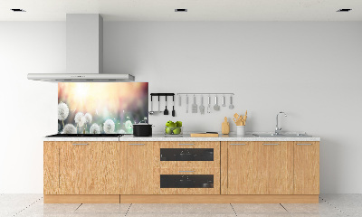 Glasrückwand für die küche Löwenzahnfeld