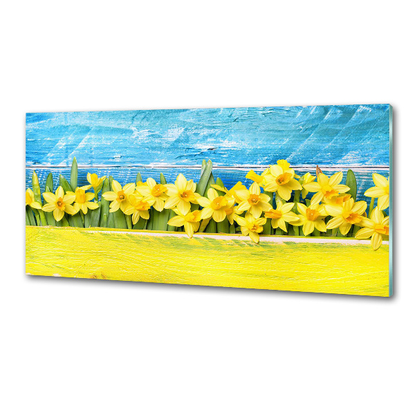 Platte für Küchenrückwand Narzissen