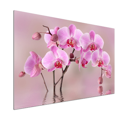 Küchen wandpaneel Rosa Orchidee