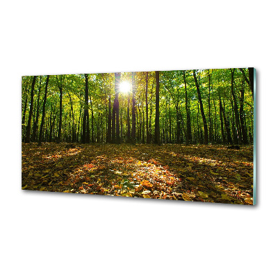 Küchen wandpaneel Wald