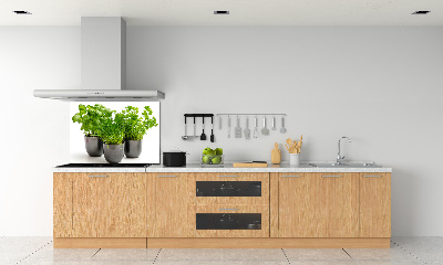 Glasrückwand für die küche Kräuter in Töpfen