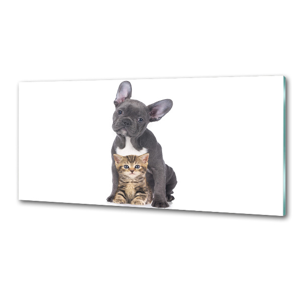 Glasrückwand für die küche Hund und Katze