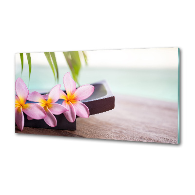 Platte für Küchenrückwand Plumeria