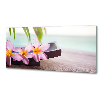 Platte für Küchenrückwand Plumeria