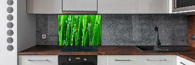 Glasrückwand für die küche Marienkäfer auf dem Gras