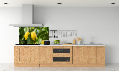 Küchen wandpaneel Zitronen am Baum