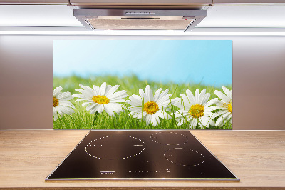 Platte für Küchenrückwand Gänseblümchen