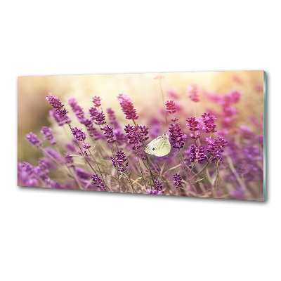 Küchen wandpaneel Lavendel