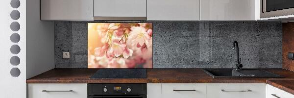 Glasrückwand für die küche Kirschblüten