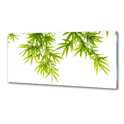 Glasrückwand für die küche Bambusblätter
