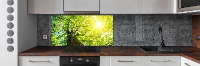 Küchen wandpaneel Kastanie im Frühling