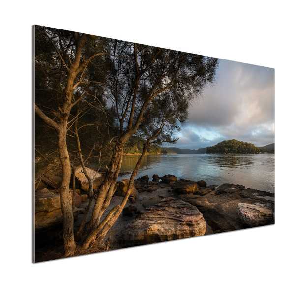 Platte für Küchenrückwand Ein Baum am Fluss