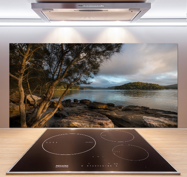 Platte für Küchenrückwand Ein Baum am Fluss