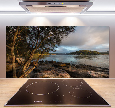 Platte für Küchenrückwand Ein Baum am Fluss