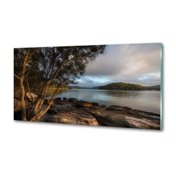 Platte für Küchenrückwand Ein Baum am Fluss