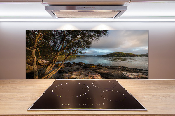 Platte für Küchenrückwand Ein Baum am Fluss