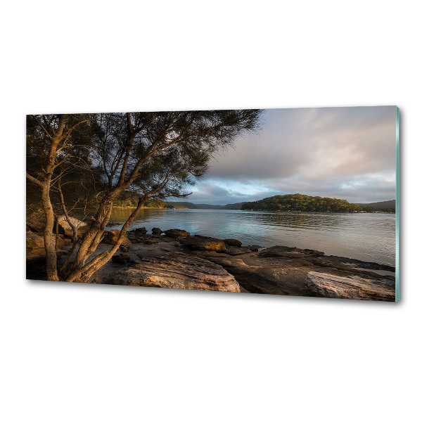 Platte für Küchenrückwand Ein Baum am Fluss