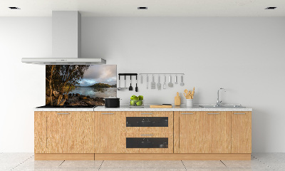 Platte für Küchenrückwand Ein Baum am Fluss