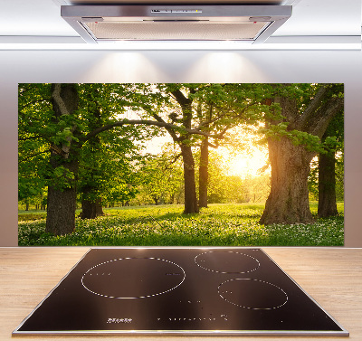 Küchen wandpaneel Bäume im Park