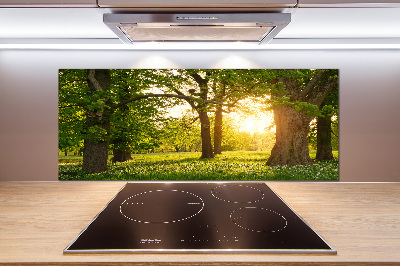 Küchen wandpaneel Bäume im Park