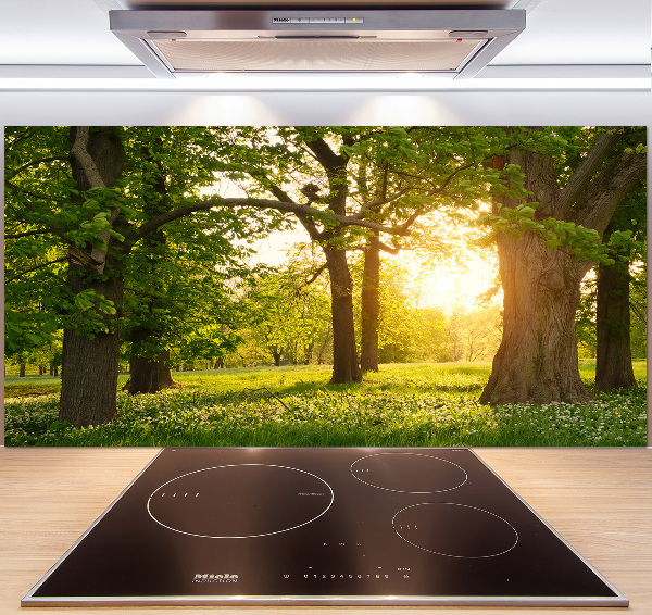 Küchen wandpaneel Bäume im Park