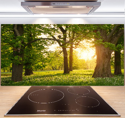 Küchen wandpaneel Bäume im Park