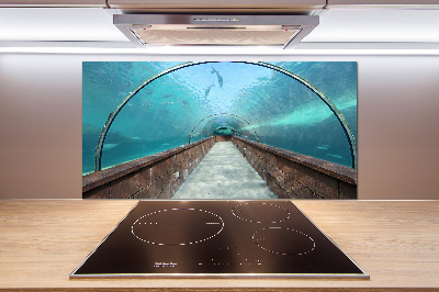 Platte für Küchenrückwand Aquariumtunnel