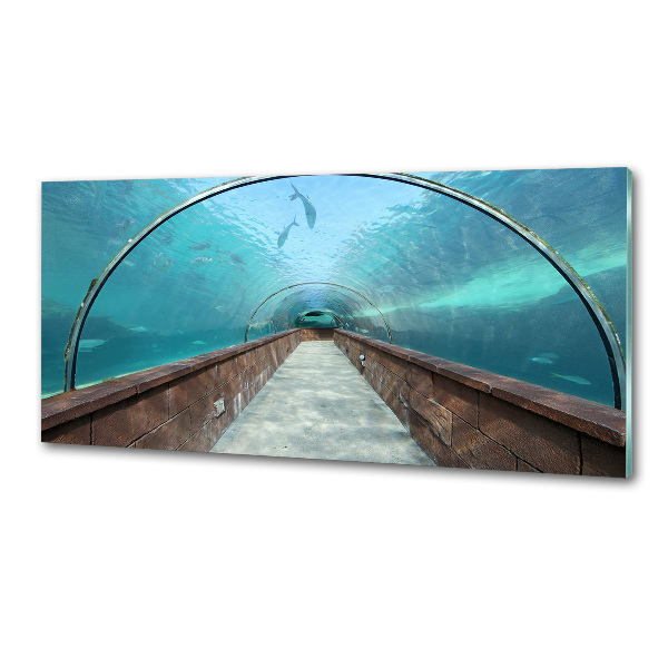 Platte für Küchenrückwand Aquariumtunnel