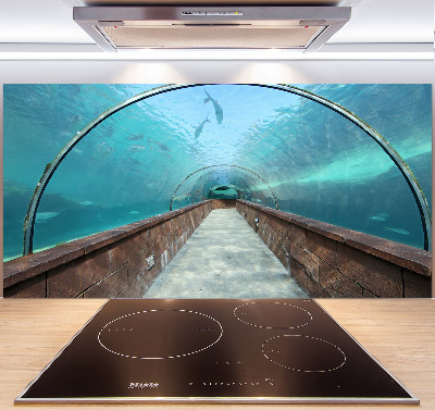 Platte für Küchenrückwand Aquariumtunnel