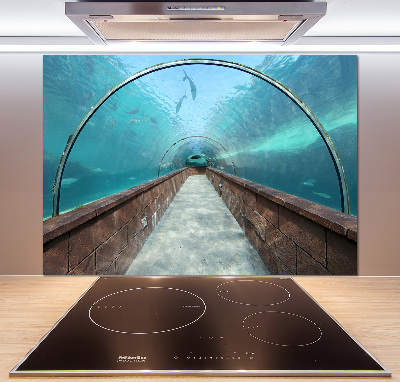 Platte für Küchenrückwand Aquariumtunnel