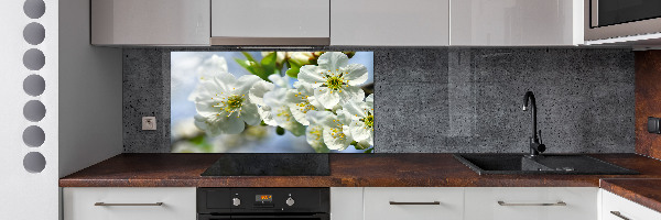 Glasrückwand für die küche Kirschblüte