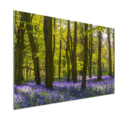 Platte für Küchenrückwand Wald im Frühling