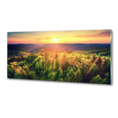 Glasrückwand für die küche Sonnenuntergang im Wald