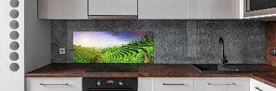 Platte für Küchenrückwand Teeplantage