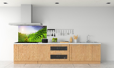 Platte für Küchenrückwand Teeplantage