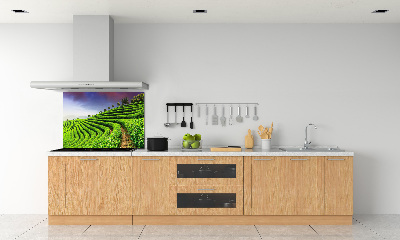Platte für Küchenrückwand Teeplantage