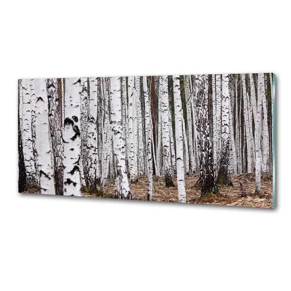 Küchen wandpaneel Birke