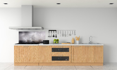 Platte für Küchenrückwand Löwenzahnsamen